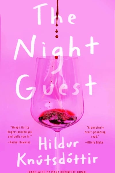 Cover image of "The Night Guest" by Hildur Knútsdóttir